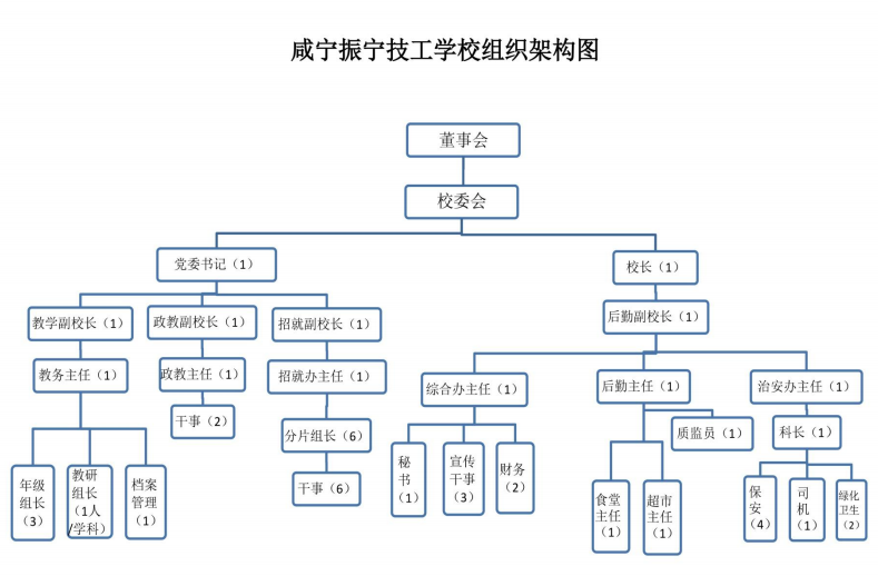 組織結(jié)構(gòu)(圖1)